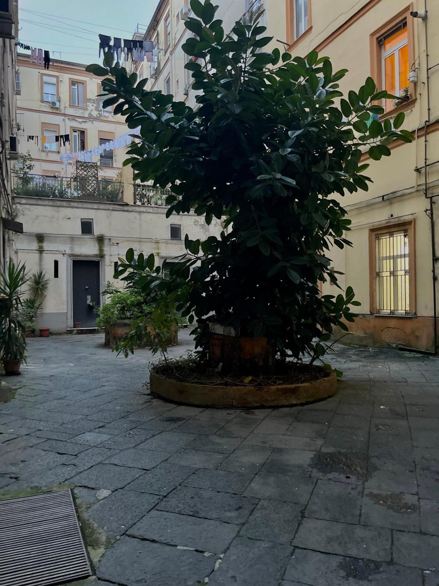 Momarooms Napoli Eksteriør bilde